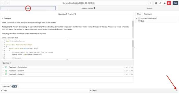 The Code tab with the description of the question, the student’s code, auto-graded feedback, output, and the pass/fail status.