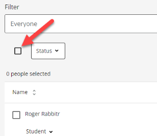 Name box in roster used to select all students in the course