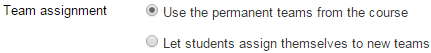 Use permanent or temporary teams