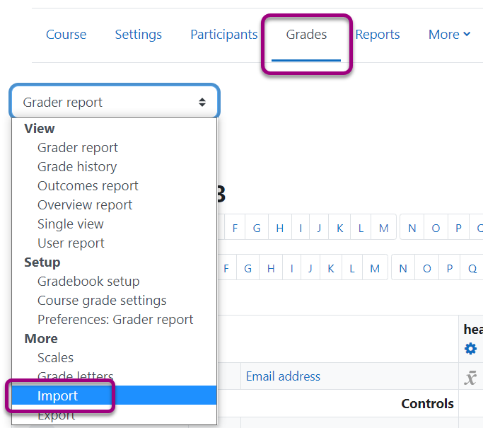Import option in the Grader report list