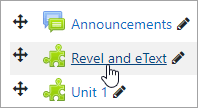 Revel and eText link
