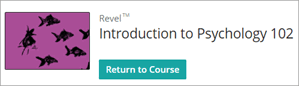 Return to Course button