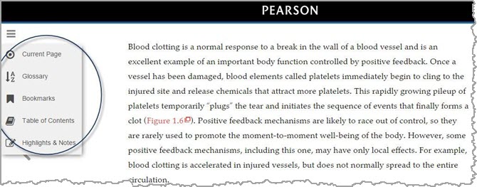 eText 2.0 User Interface for Higher Ed (SMS)