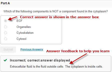 Review answers and hints on a finished item