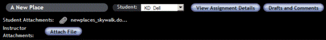 Instructor buttons and options: assignment title, Student drop-down list, View Assignment Details button, Drafts and Comments button
