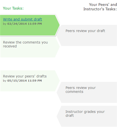 A sample peer review map with steps