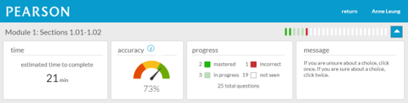 A dashboard showing your progress in a DSM assignment